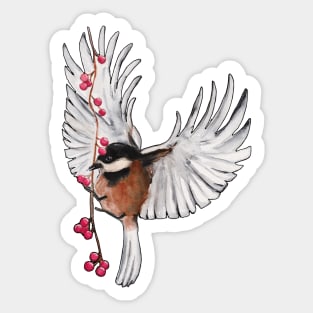 Watercolor - Winter bird Sticker